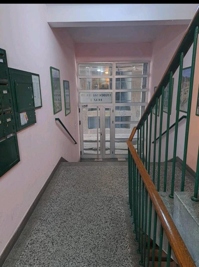 Apartman Milica 2023 Belgrado Buitenkant foto